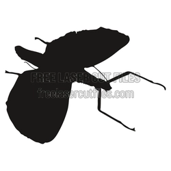 Realistic Beetle Silhouette Laser Cut File, Ready to Cut