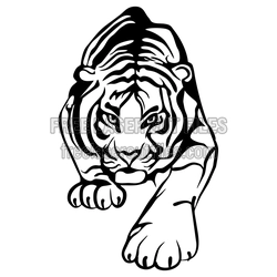 Hunting Tiger Front View Laser Cut Animal Design