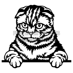 Scottish Fold Cat Clipart SVG for Laser Cutting