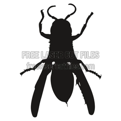 Beetle Silhouette Laser Cut File for Nature Crafts