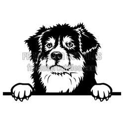 Australian Shepherd Dog Peeking Clipart Ready to Cut