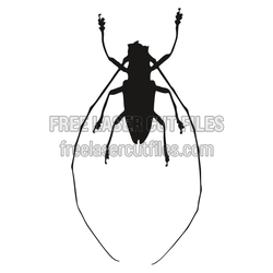 Long-Horn Beetle Silhouette Laser Cut File, Ready to Cut