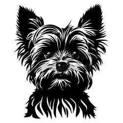Yorkshire Terrier Portrait SVG, Ready to Cut Dog Design